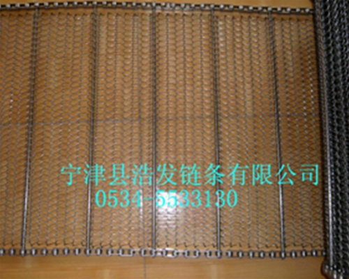 清洗機網帶